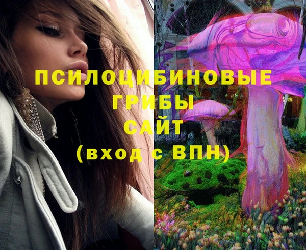стаф Баксан