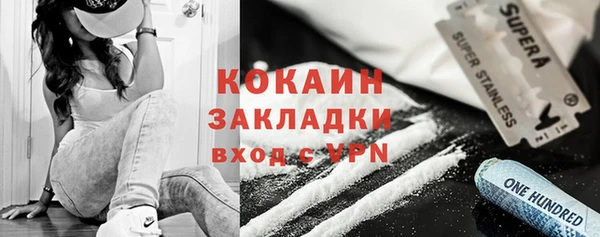 дмт Богородск