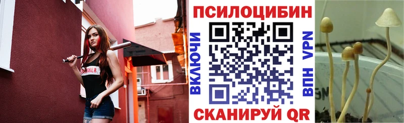 Купить  Североморск  Галлюциногенные грибы прущие грибы 